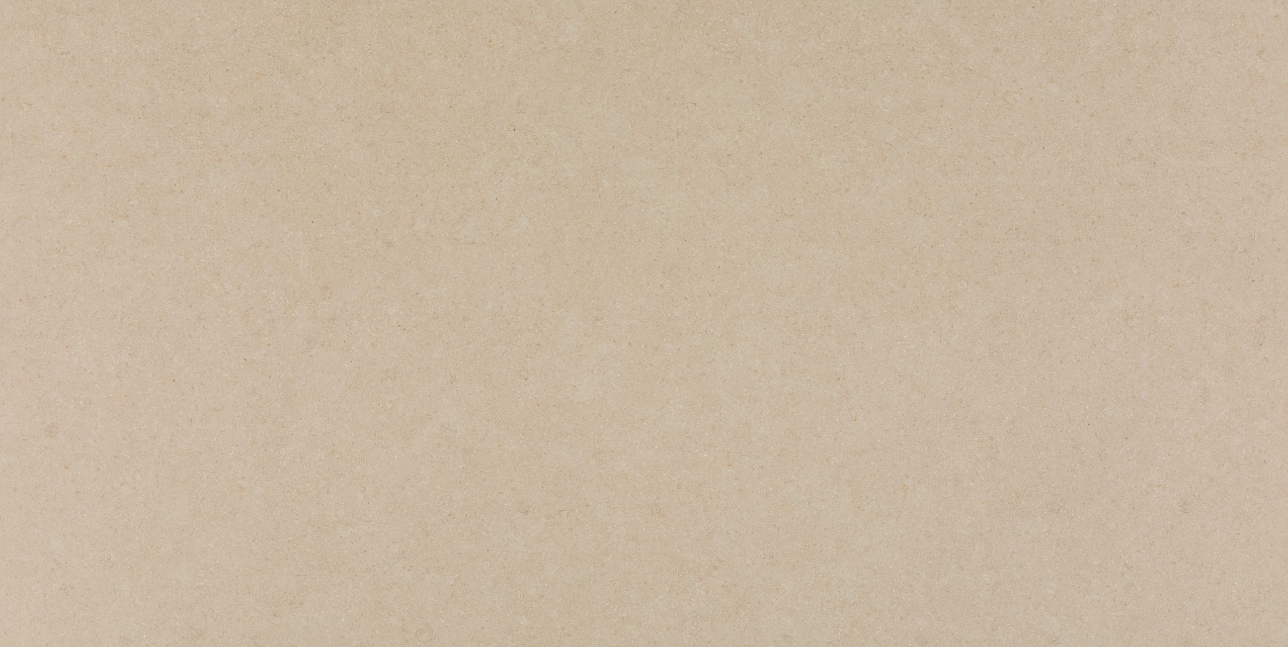 546 Thalassa PORCELAIN